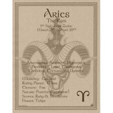 Aries Zodiac Sign Poster 8.5 x 11