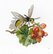 1888 Chromo de Coupis, Fantasy Insects & Butterflies No.2, Antique, Diecut, picture