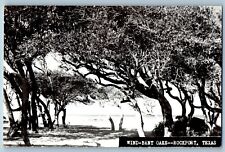 Rockport Texas TX Postcard RPPC Photo Wind Bent Oaks c1940's Unposted Vintage picture