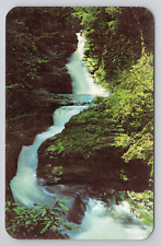 Upper Falls at The Inn at Buck Hill Falls Postcard 2938 picture