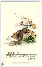 c1910 EASTER WISHES BRER RABBIT BABY CHICKS FLORAL EMBOSSED POSTCARD P3293 picture