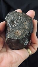 Fabulous Toluca Meteorite, Complete Individual, Over 880 Grams, Rare Meteorite picture