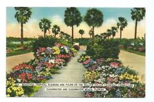 Clearwater Florida FL Postcard Flowers Causeway Vintage picture