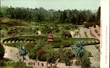 Piedmont Park California garden maze ~ UDB c1905 vintage postcard picture