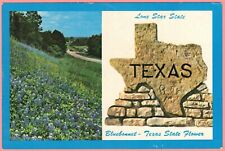 Postcard Texas TX Blue Bonnet State Flower Marker 1970s Unposted Chrome picture