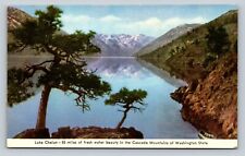 Lake Chelan Washington State Cascade Mountains VINTAGE Postcard picture