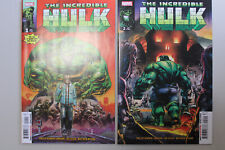 Incredible Hulk #'s 1-2 (2023) picture