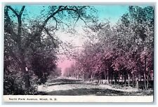 Minot North Dakota ND Postcard North Park Avenue Trees Scene 1910 Country Road picture