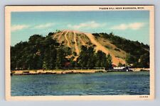 Muskegon MI-Michigan, Pigeon Hill, Antique, Vintage Souvenir Postcard picture