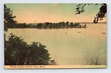 Center City MN Minnesota Maple Island Scenic Lake View c1910s Vtg Postcard picture