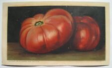 Tomato; Arbuckle's Ariosa Coffee Old 1889 Advertising Trade Card #88 picture