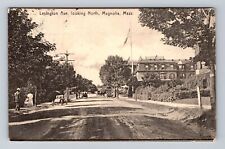 Magnolia MA-Massachusetts, Lexington Ave Looking North, Vintage Postcard picture