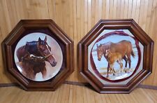 Fred Stone Horse Plates Framed Shadow Box 1st & 3rd Edition Limited #4237 #3640 picture