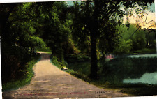 A Shady Walk Lakemont Park Altoona PA Divided Postcard Posted 1911 picture
