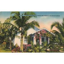 Bungalow Flowers Palms Florida c1955 Postcard 2T5-456 picture