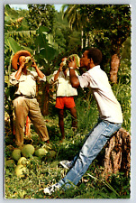 c1960s Drinking Coconut Milk Wild Vintage Postcard picture