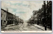 Pine Bluff Arkansas~Main Street South~1909 CU Williams Postcard picture