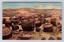 Petrified Forest AZ-Arizona Petrified Logs Scattered over Acres Vintage Postcard picture
