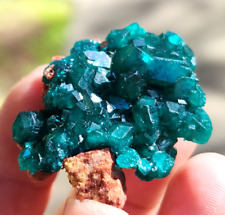 High Quality Dioptase Specimen From Namibia, 50gm, 5cm, US TOP Crystals picture
