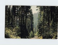 Postcard The fir-lined highways, Pacific Northwest picture