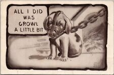 1911 DOG Animal Comic Postcard 