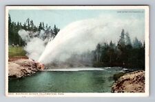 WY-Wyoming, Riverside Geyser, Yellowstone, Antique, Vintage Souvenir Postcard picture