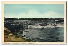 c1940's The Bore of the Petitcodiac River Moncton NB Canada Postcard picture