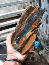 4 Kg indonesian blue opalized petrified wood  picture