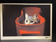 Cat Photography Art Bruno Maso Vintage 4x6 Postcard 1 picture