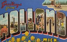 1947 Greetings from HOLLAND Michigan Windmill Yellow tulips Rectangle PR picture