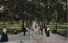 Vintage Scene in Boston Common Boston Massachusetts Postmarked 1909 Postcard picture