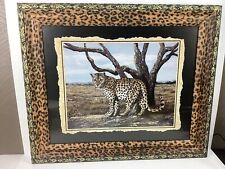 Leopard Cat Print 16x20 Framed and Matted Up To A Large 20x25 Beautiful Picture. picture