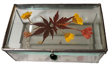 Pressed Flowers Trinket Box Mirrored Bottom Textured Glass Sides Flower VTG picture