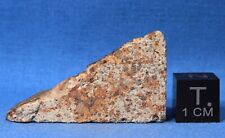 12.7 gram Holbrook Meteorite Slice - LL6 Chondrite - Observed Fall 1912 Arizona picture