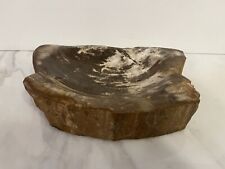 Large Petrified Wood Dish Brown Bowl Polished Catchall Jewelry Watch 6 Lbs picture