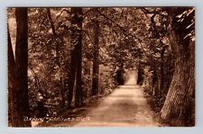 Oxford-England, Oxford Addison's Walk, Country Lane, Vintage Postcard picture