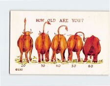 Postcard How Old Are You ?, With Bulls Behind Comic Art Print picture