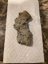 Chunk Of Concrete From Construction Site In Elkins Park, PA 2023 picture