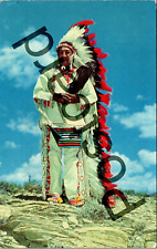 1958 GALLUP NM Chief Ironcloud Souix tribe at Indian Ceremonials  postcard jj081 picture
