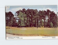 Postcard Ninth Hole Municipal Golf Course Walterboro South Carolina USA picture