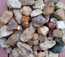 NEW LISTING  11+ lb. Central TX Handpicked Flint/Chert for Knapping, Lapidary picture