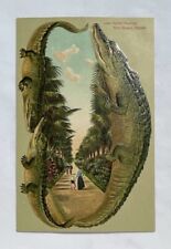 Palm Beach FL Florida Langsdorf Alligator Antique Postcard S519 Ocean Avenue picture