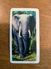BROOKE BOND RED ROSE TEA CARDS - SERIES 7 - AFRICAN ANIMALS picture