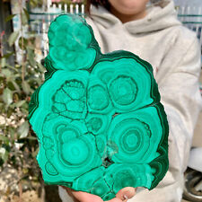 1.46LB  Natural glossy Malachite transparent cluster rough mineral sample picture