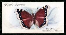 Players Cigarette 1932 Butterflies Card #5 Gt. Britain-The Camberwell Beauty picture