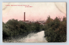 1909. QUINCY, MICHIGAN. WOLVERINE PORTLAND CEMENT CO. POSTCARD BQ24 picture