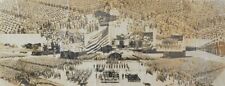 81st Infantry Wildcat Division WWII  Panoramic Photograph picture