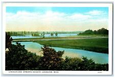 c1930 Lincoln Lake Epworth Heights River Trees Field Ludington Michigan Postcard picture