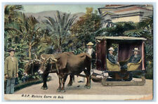 1912 M.O.P. Passengers at Madeira Ox Cart Portugal Antique Posted Postcard picture