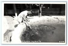 c1940's Feeding Turtles Aquarium Key West Florida FL RPPC Photo Vintage Postcard picture
